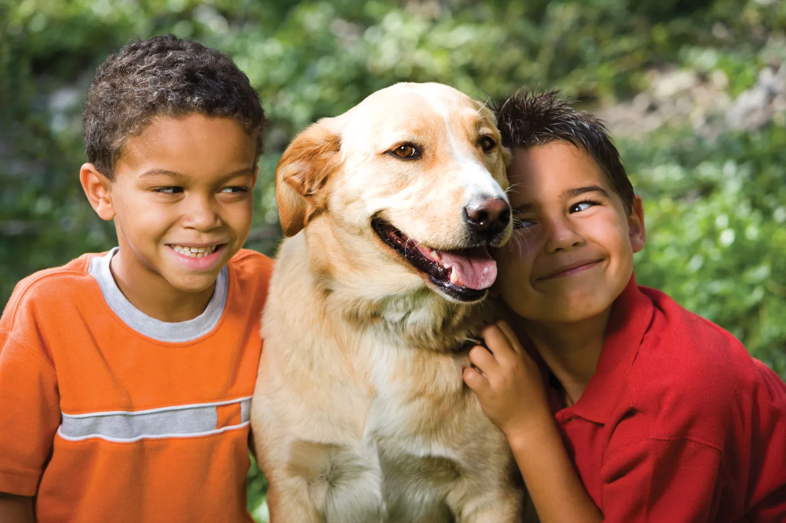 Animal Behavior Insights